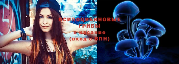 дживик Тайга