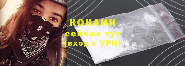 дживик Тайга