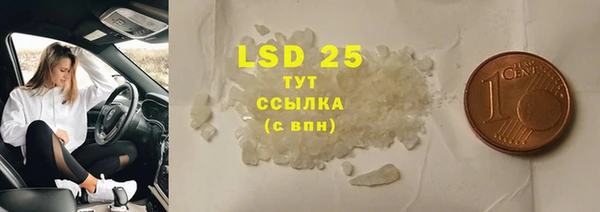дживик Тайга