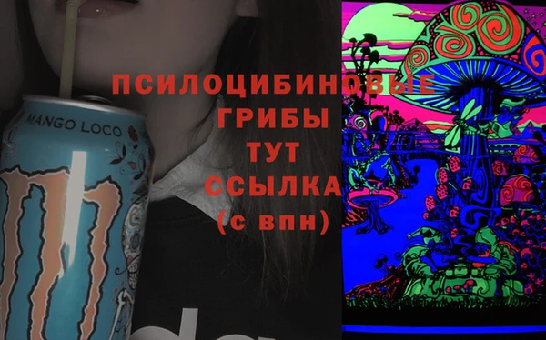 прущие крисы Тавда