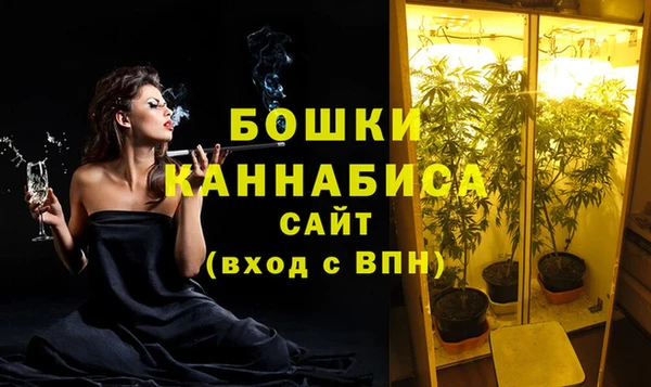 дживик Тайга