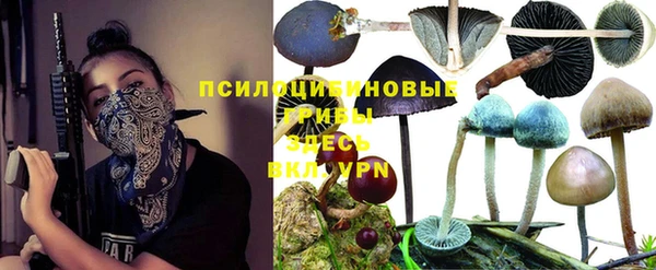 прущие крисы Тавда