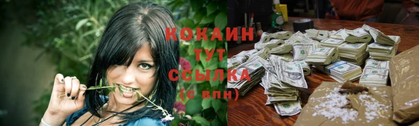 дживик Тайга