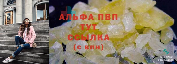 прущие крисы Тавда