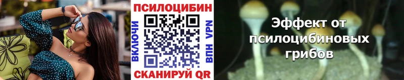купить закладку  Городище  Галлюциногенные грибы ЛСД 