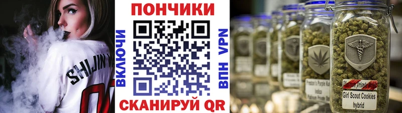 Бошки Шишки VHQ  продажа наркотиков  MEGA вход  Городище 
